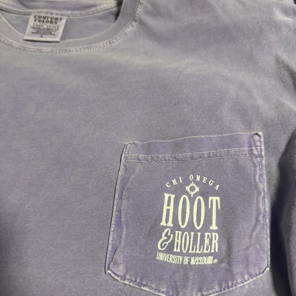 Comfort Colors Vintage-Style Washed Purple “Hoot & Holler” Short Sleeve T-Shirt - Picture 3 of 7